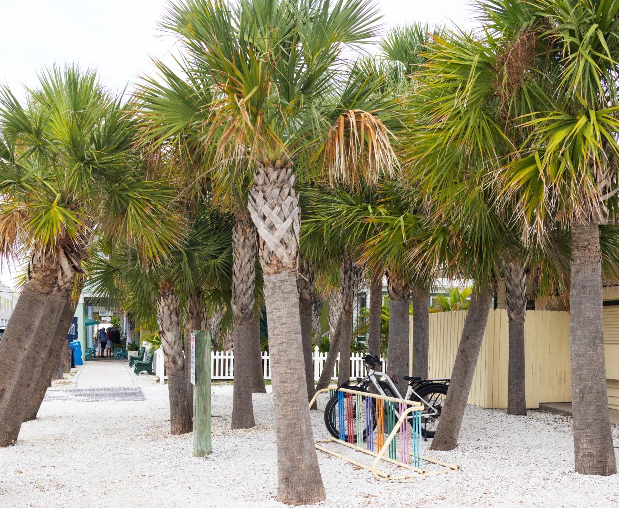 The Hotel Zamora St. Pete Beach Exterior foto
